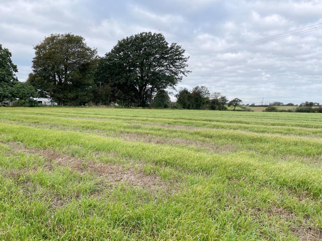 Lot: 95 - ALMOST TEN ACRES OF LAND - General view